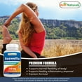 thumbnail image 4 of 3 Pack Best Naturals Boswellia 250 mg 120 Capsules | Standardized to 65% Boswellic acid, 4 of 7