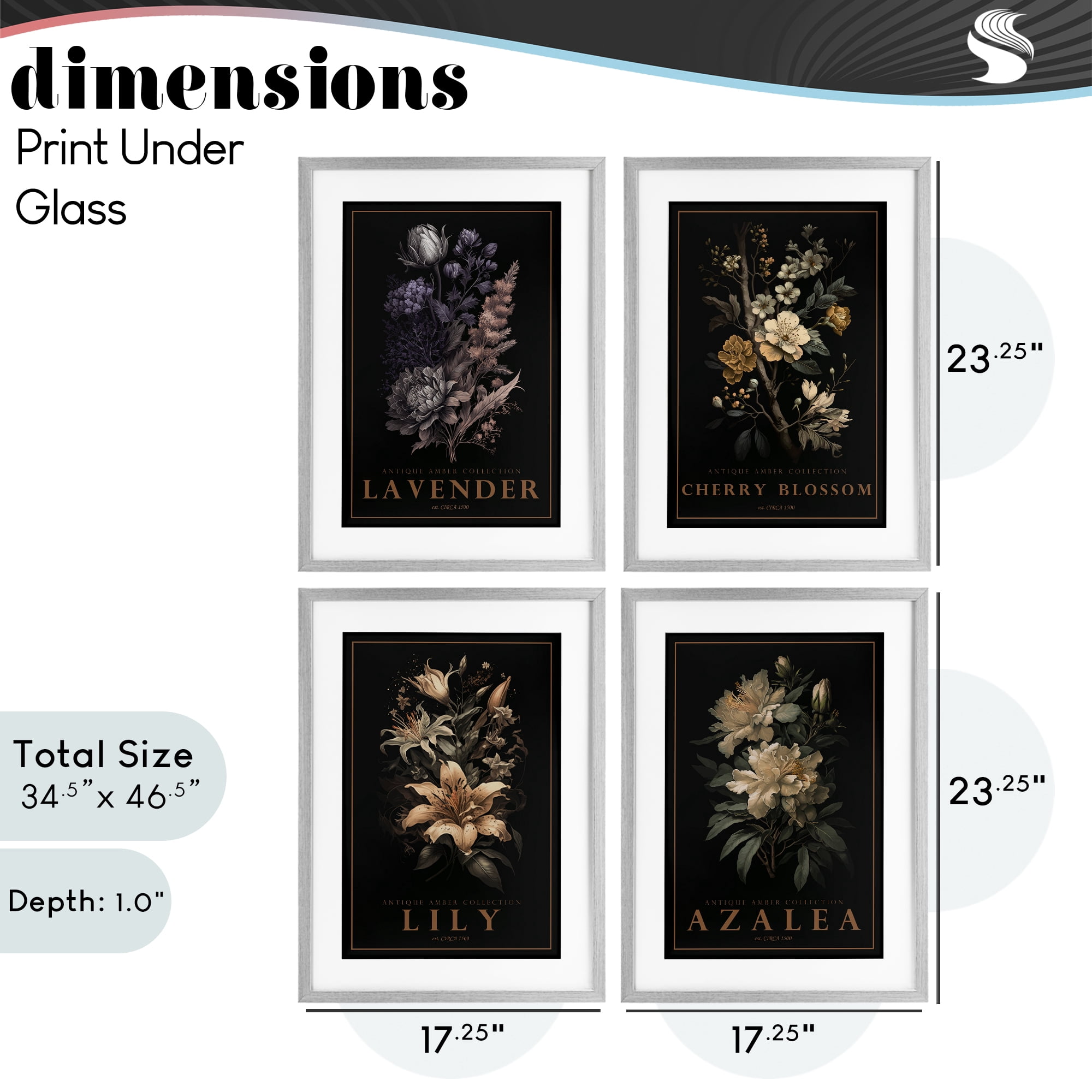 Stupell Industries Antique Varied Botanical Blooms 4 Piece Gray Framed Print Under Glass Set, design by Chris Giampietro