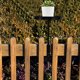 thumbnail image 1 of WHAMVOX Organizador De Plantas Para Con Soporte Ajustable Y Ahorra Espacio En Hierro Negro, 1 of 8