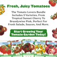thumbnail image 3 of Epic Gardening Tomato Lovers Seed Bundle, 5 Juicy Varieties, Includes Brandywine, Chadwick Cherry & Tropical Sunset, Grow Non-GMO Tomatoes for Meals, 3 of 6