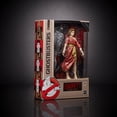 thumbnail image 2 of Ghostbusters Plasma Series Dana Barrett Action Figure, 2 of 6