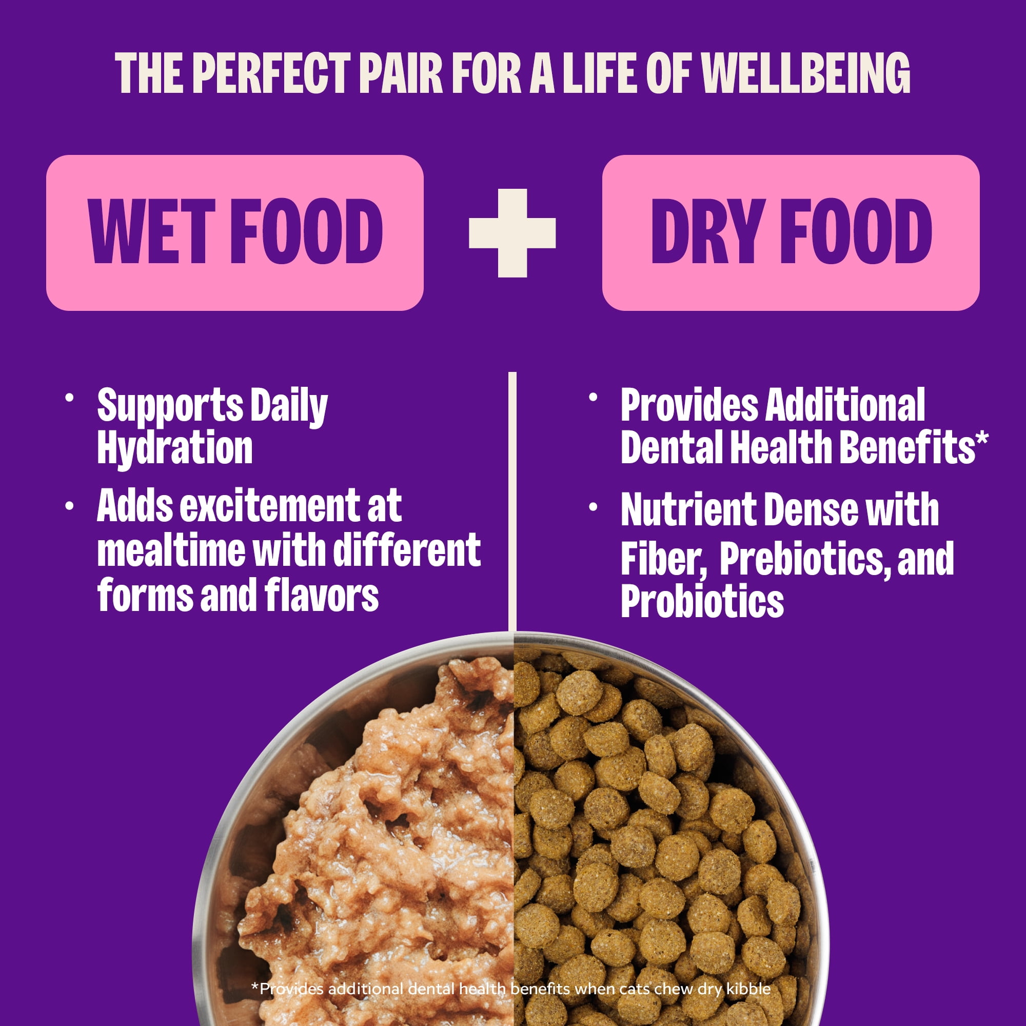 (12 pack) Wellness Complete Health Gravies Adult Canned Wet Cat Food, Natural, Protein Rich, Grain Free, Chicken Entrée Recipe, 3 oz, Pack of 12 Cans