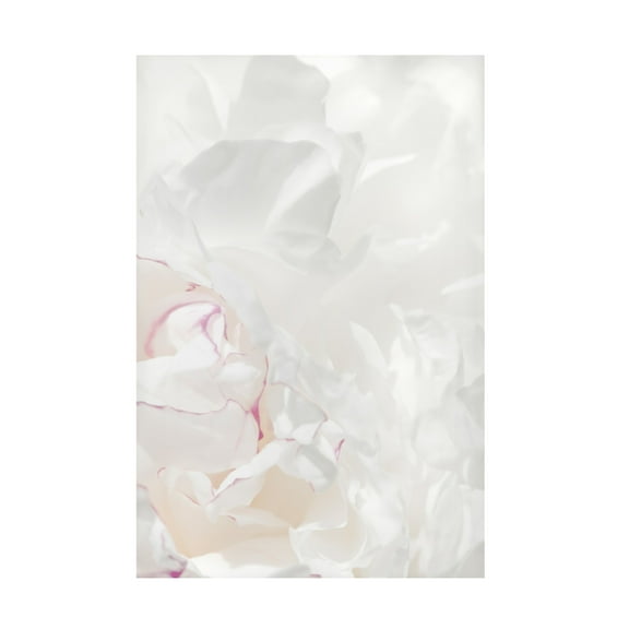 Trademark Fine Art Pictufy Studio III Peony 21 Canvas Wall Art