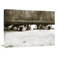 thumbnail image 1 of Global Gallery's 'We See You' By Jim Dratfield Stretched Canvas Wall Art, 1 of 4