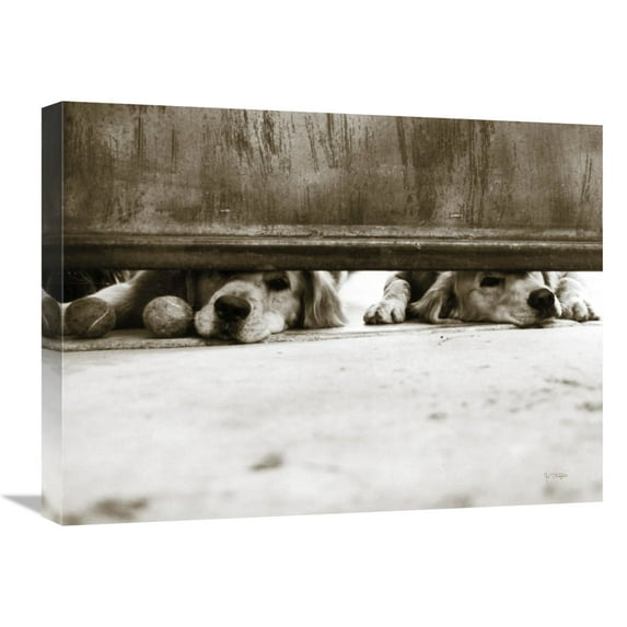 Global Gallery's 'We See You' By Jim Dratfield Stretched Canvas Wall Art