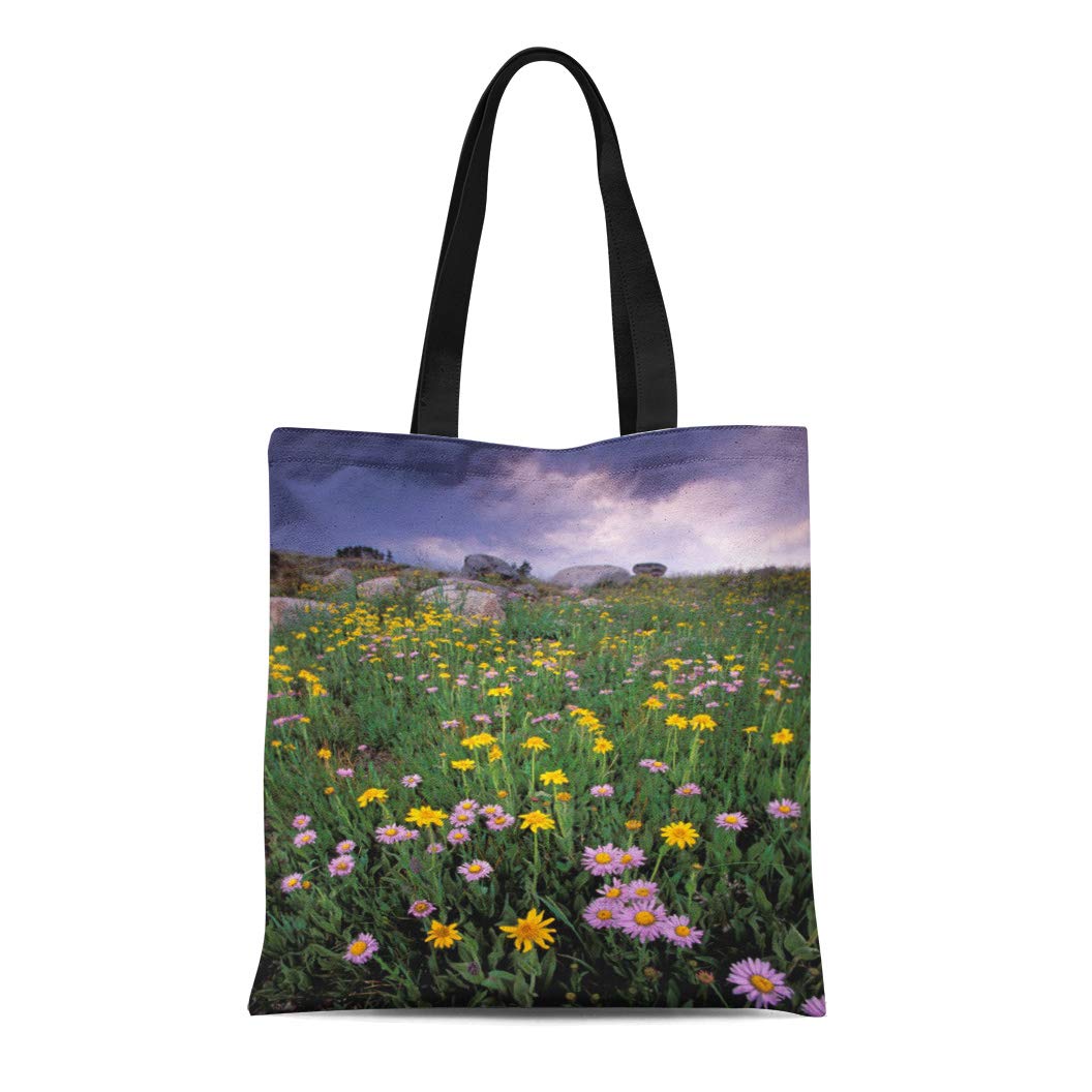 Bag stone america Clearance