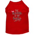 thumbnail image 1 of Bunny Is My Bestie Screen Print Dog Shirt Red Med (12), 1 of 1