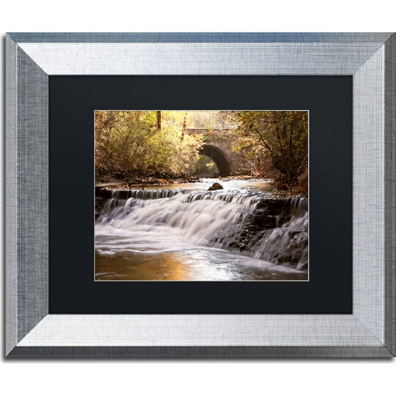 Trademark Fine Art "Avon Falls" Canvas Art by Jason Shaffer, Black Matte, Silver Frame