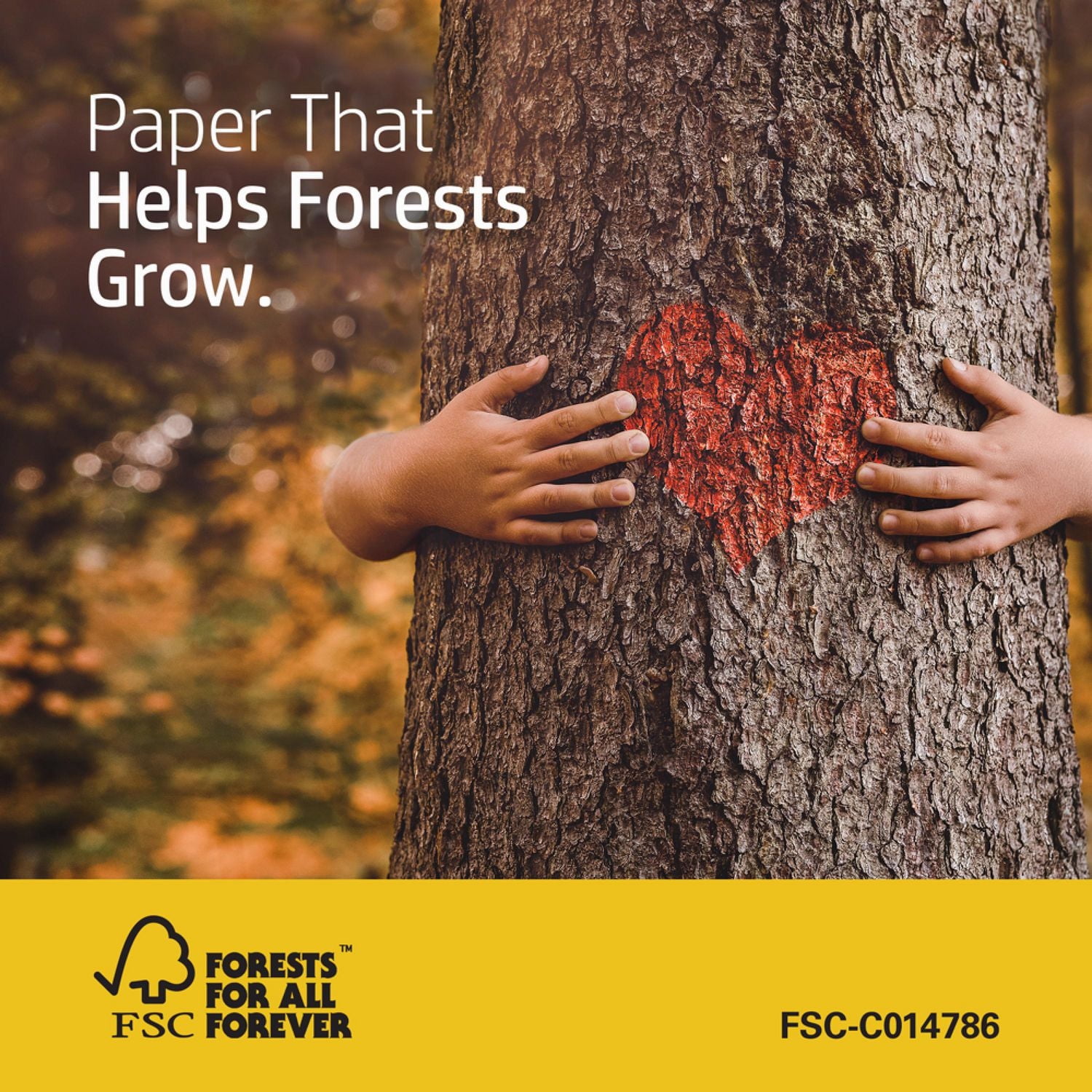 HP Copy & Print20 Printer Paper, 8.5x11 Paper, 20lb, 1 Ream