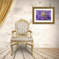 thumbnail image 3 of Paulson, Don 32x23 Gold Ornate Wood Framed with Double Matting Museum Art Print Titled - Close-up of clematis blossom, 3 of 4
