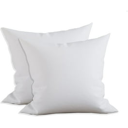 12x18 or 18x12 Indoor Outdoor Hypoallergenic Polyester Pillow Insert Quality Insert Pillow Insert Throw Pillow Insert Pillow Form by