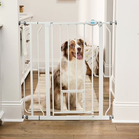 Carlson Extra Tall Metal Walk Through Pet Gate with Small Pet Door and Extension Kit, 36" H x 29"-36.5" W