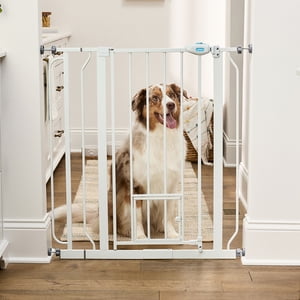 Carlson Extra Tall Walk-Through Pet Gate, 36" H