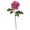 Orchid, variant on Nearly Natural 20in. Rose Artificial Flower (Set of 6)
