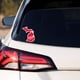 thumbnail image 3 of Rico Industries Nfl Arizona Cardinals Estado De Origen Pegatina, 3 of 5