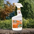 thumbnail image 3 of Bonide Captain Jack's 16 oz Liquid Copper Fungicide Ready-to-Use Spray for Organic Gardening, 3 of 8