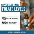 thumbnail image 4 of Triquetra Health L-Methylfolate (1mg) Plus Methyl-B12, 4 of 7