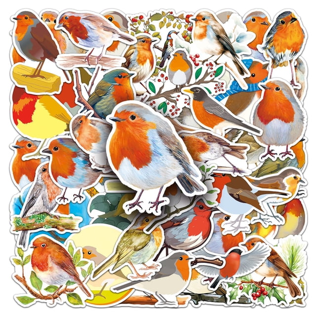 50 pegatinas Robin Bird para álbum de recortes, ordenador portátil o botella de agua