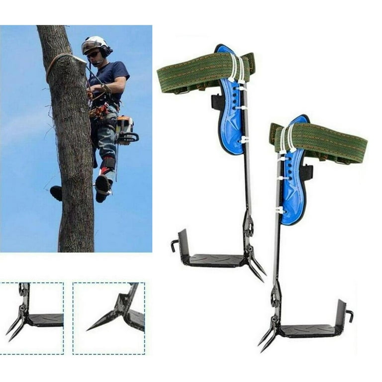 Tree Climbing with Harness Belt, Tree Climbing s Set 2 Gears Tree Climbing with Harness Belt, Tree Climbing s Set 2 Gears