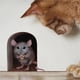 thumbnail image 2 of Monstrate 5 piezas Mouse Hole Wall Decal Sticker Lovely Home Decor Kitchen Type7 NO7, 2 of 6