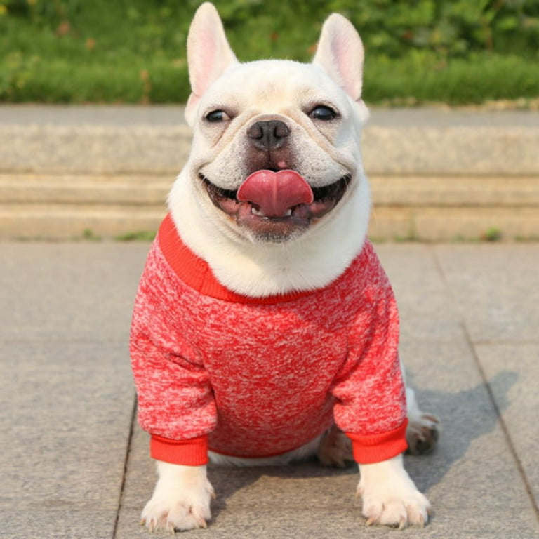 2xl store dog sweaters