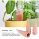 thumbnail image 2 of DEWIN - Riego automático para plantas (4 unidades), estacas de terracota para riego de plantas, ideal para vacaciones, para interior y exterior., 2 of 7