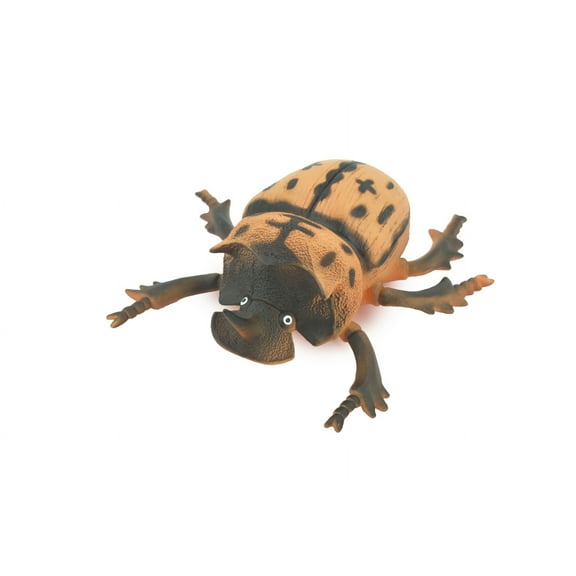 Beetle, Horned Rhino Beetle, Dynastinae, Rubber Insect, Educational, Toy, Kids, Realistic Figure, Lifelike Model, Figurine, Replica, Gift, 5" ABC02 B493