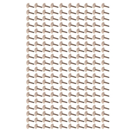 

200Pcs Upholstery Tacks High Hardness Easy Installation Strong Luster Nailhead Decorative Trim for Shoes Clothing SP8 001