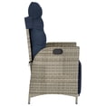 thumbnail image 3 of vidaXL Chaise de Jardin Inclinable avec Repose-Pieds en Rotin Gris, 3 of 5