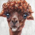 thumbnail image 2 of Perejogina, Dina 20x20 Black Ornate Wood Framed with Double Matting Museum Art Print Titled - Alpaca I, 2 of 4