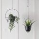 thumbnail image 4 of Maceta colgante de metal, cesta colgante negra para fijación a pared y techo, clorofito, suculentas verdes, plantas artificiales redondas (hy), 4 of 5