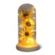 thumbnail image 1 of Flor de luz LED Botella decorativa Lámpara seca Conservada Mujer Regalo Decoración Funciona con pilas Decoración romántica para el hogar Decoración de boda rosa rojo amarillo Speravity HA009077-05B, 1 of 6