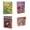 4-in-1 set, variant on Virus! 2 Evolution: Expansion Card Game for 3-6 Players (Ages 8+) – Fast-Paced Strategy & Bluffing Game, Perfect for Family Game Night & Adult Parties