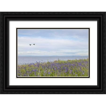 Paulson, Don 32x23 Black Ornate Wood Framed with Double Matting Museum Art Print Titled - WA, San Juans Camas flowers on Patos Island