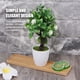 thumbnail image 4 of Diseño simple Flowerpot Bonsai Bonsai Bandeja Flower Planer Platillo Fugas a prueba de fugas Bambú Planta Planta Planta Paleta Soporte de soporte Hogar Suministros de hogar Rectángulo grande Irene Inevent HA011495-03, 4 of 7