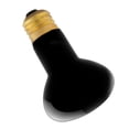 thumbnail image 4 of Ampoule Chauffante Simulée pour Amphibien Serpent Reptile, 4 of 7