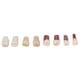 thumbnail image 2 of Modelo de enseñanza de dentista, 8 piezas Modelo de estudio de dientes de raíz de canal Dientes de raíz de canal Integración perfecta, 2 of 9