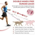 thumbnail image 4 of Hands-Free Dog Leash with Pouch - Double Retractable Bungee Leash for Two Dogs, Adjustable Waist Belt with Dual Padded Handles, Reflective Design for Walking, Running, and Training, 4 of 6