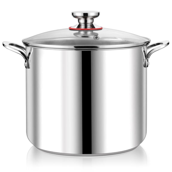 Coliware 12QT Stainless Steel Stock Pot with Glass Lid, 18/10 Food-Grade Material, 3-Ply Bottom, Induction Compatible, Dishwasher Safe