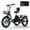 Black, variant on Lilypelle Peak 1100w Electric Tricycle for Adults, 7 Speed 20" x 4.0 " Fat Tire 3 Wheel Electric Bike, 48V 14.5Ah Removable Battery, Aluminum Motorized MountainTrike W/ Front & Rear Basket  & Cover