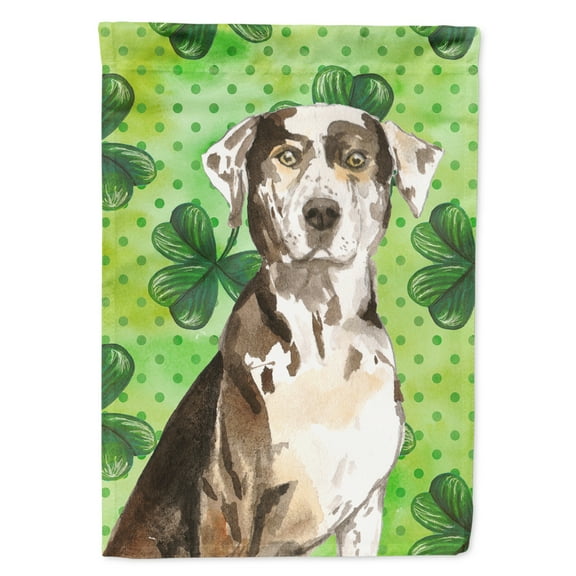 Carolines Treasures CK1808GF Shamrocks Catahoula Leopard Dog Flag Garden Size  Small multicolor