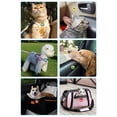 thumbnail image 3 of Exclusive For Felimon Facial Pheromones For Cats, 3 of 4