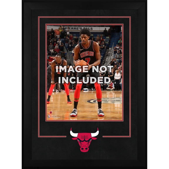 Chicago Bulls Deluxe 16" x 20" Frame