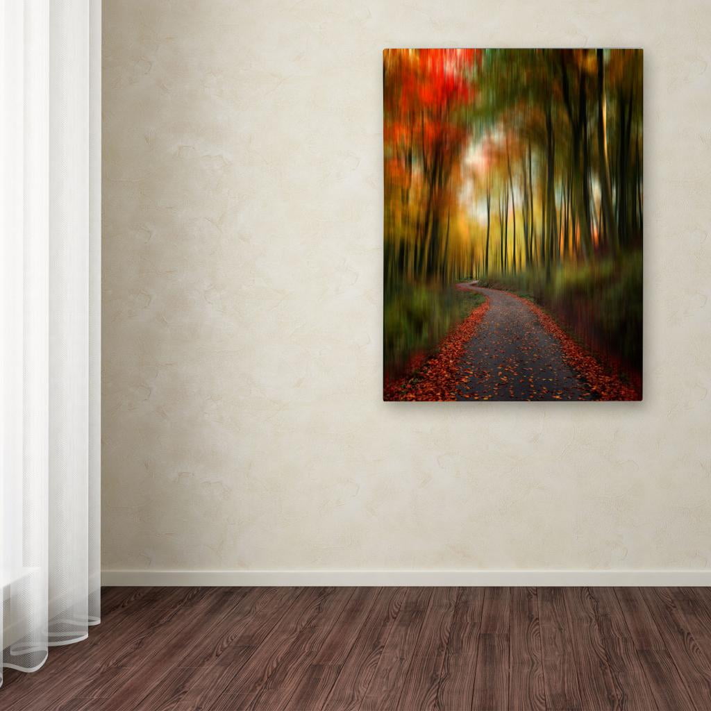 Trademark Fine Art "The Lost Path" Canvas Art by Philippe Sainte-Laudy