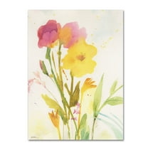 Trademark Fine Art "Wildflowers Against the Sky" Canvas Art by Sheila Golden