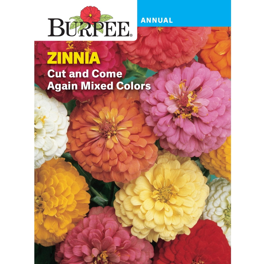 Burpee Cut and Come Again Mixed Colors Zinnia Flower Seed, 1pack