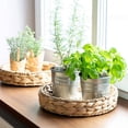 thumbnail image 3 of 2 Pcs Plateau Rond Tressé en Jacinthe d'Eau de Mer Ensemble 33cm + 28cm Bol à Fruits, 3 of 10