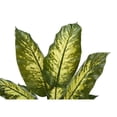 thumbnail image 5 of Artificial Plant - 47" Tall - Indoor - Floor - Potted - Green Leaves, 5 of 6