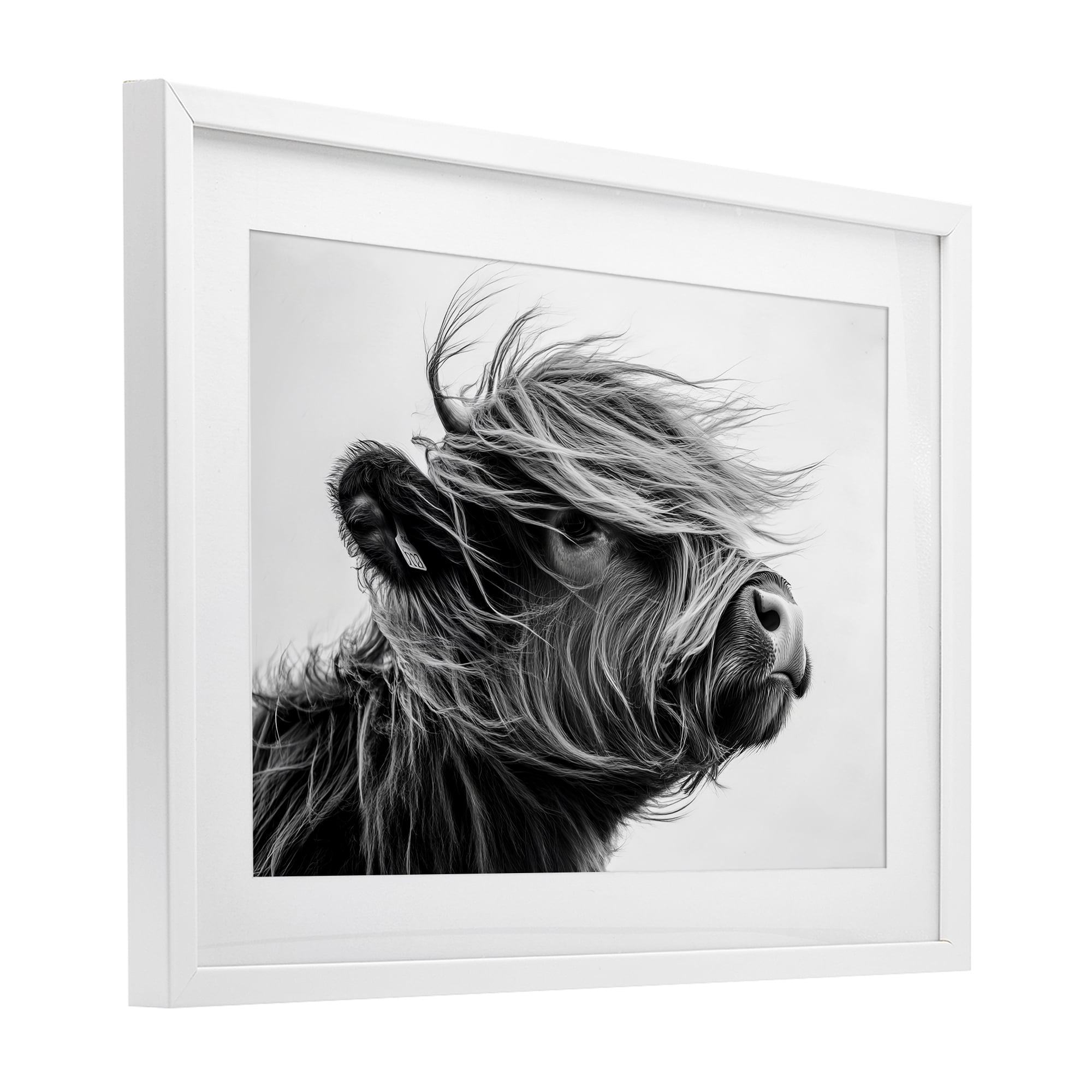 Stupell Industries Handsome Highland Portrait White Framed Print Under Glass, design by Tina LeCour