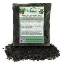 Peace Lily Growing Soil Mix 5 Quarts - Custom Soil Blend Potting Mix for Peace Lily Plants Specially Developed by and for Professional Nursery Growers - Nutrient-Rich Formula